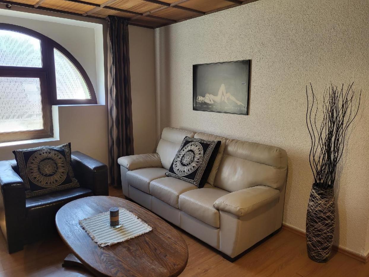 Sunflower And Appartement Prague